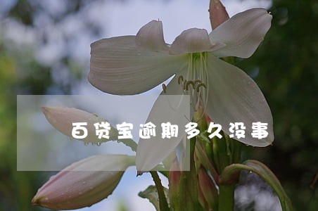 百贷宝逾期多久没事 百贷宝逾期多久没事