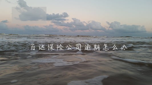 百达保险公司逾期怎么办 百达保险公司逾期怎么办