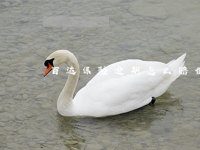 百达保险逾期怎么赔偿 百达保险逾期怎么赔偿