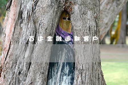 百达金融逾期客户 百达金融逾期客户