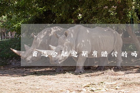 百达金融逾期有赔付的吗 百达金融逾期有赔付的吗