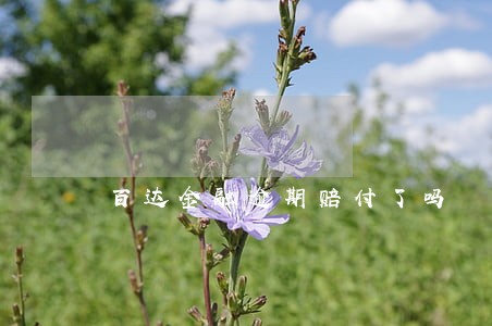 百达金融逾期赔付了吗 百达金融逾期赔付了吗