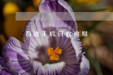 百途手机回收逾期 百途手机回收逾期