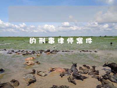 的刑事律师案件 的刑事律师案件