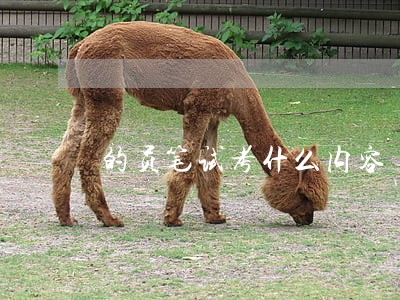 的员笔试考什么内容