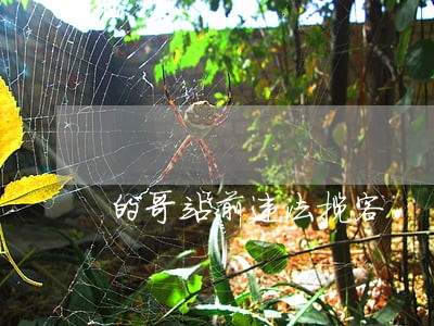 的哥站前违法揽客 的哥站前违法揽客