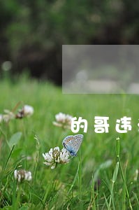 的哥违法停车被扣证件 的哥违法停车被扣证件