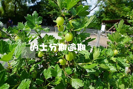 的士分期逾期 的士分期逾期