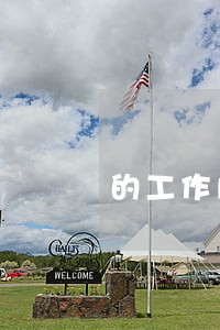 的工作内容 的工作内容