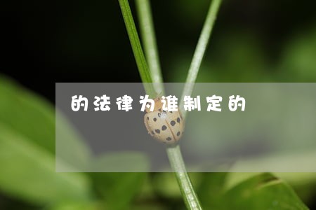 的法律为谁制定的 的法律为谁制定的