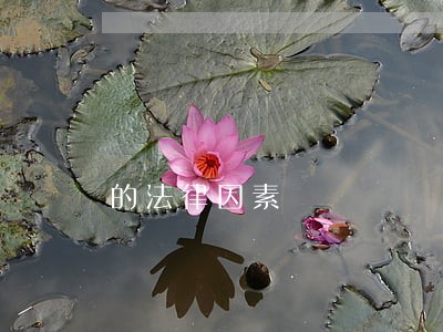 的法律因素 的法律因素