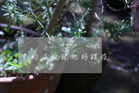 的法院就他妈摆设 的法院就他妈摆设