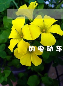 的电动车裸奔上路属违法 的电动车裸奔上路属违法
