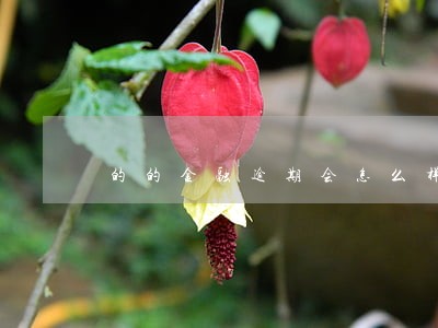 的的金融逾期会怎么样 的的金融逾期会怎么样