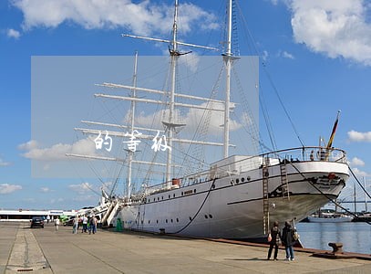 的等级