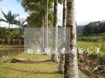的逾期记录保留几年