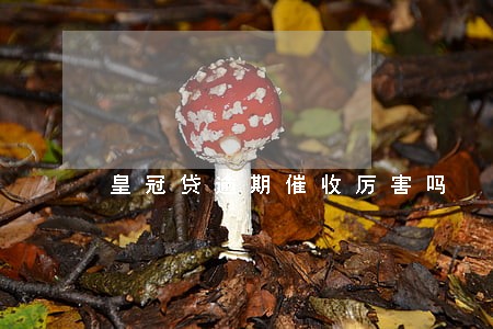 皇冠贷逾期催收厉害吗 皇冠贷逾期催收厉害吗