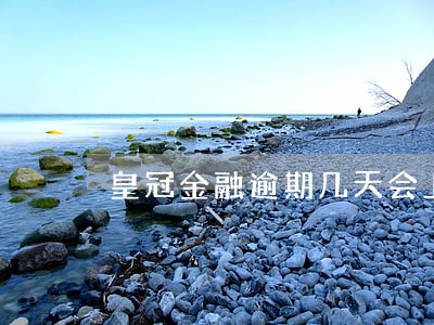 皇冠金融逾期几天会上征信 皇冠金融逾期几天会上征信