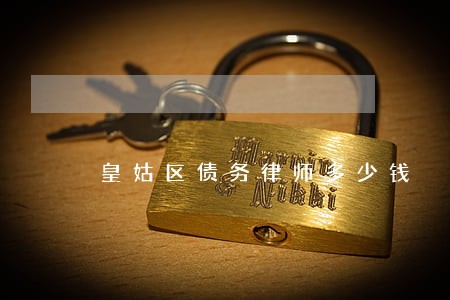 皇姑区债务律师多少钱 皇姑区债务律师多少钱