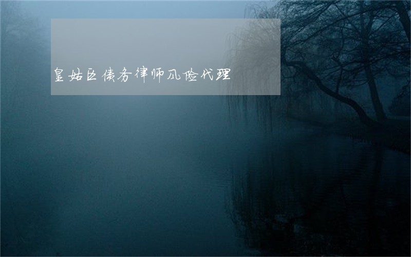 皇姑区债务律师风险代理 皇姑区债务律师风险代理