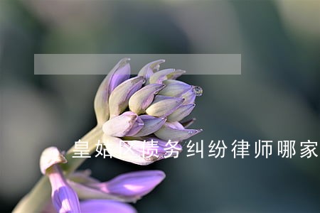 皇姑区债务纠纷律师哪家强 皇姑区债务纠纷律师哪家强