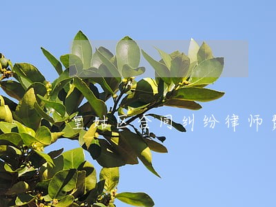 皇姑区合同纠纷律师费用 皇姑区合同纠纷律师费用