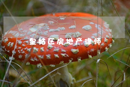 皇姑区房地产律师 皇姑区房地产律师