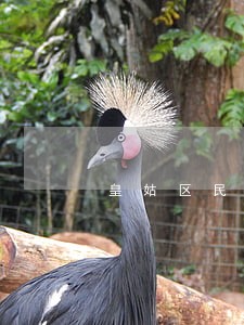 皇姑区民事债务纠纷律师介绍 皇姑区民事债务纠纷律师介绍