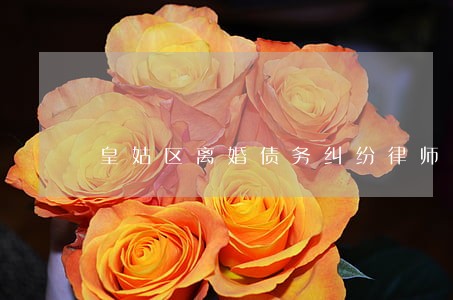 皇姑区离婚债务纠纷律师 皇姑区离婚债务纠纷律师