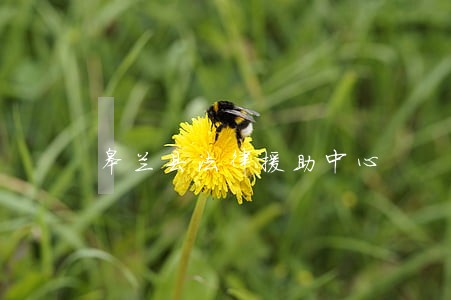 皋兰县法律援助中心 皋兰县法律援助中心