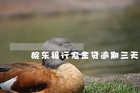 皖东银行农金贷逾期三天怎么还款