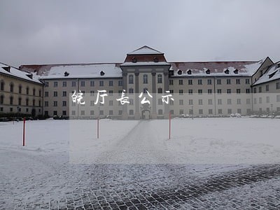 皖厅长公示 皖厅长公示
