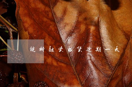 皖新融资租赁逾期一天 皖新融资租赁逾期一天