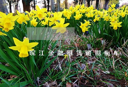 皖江金融租赁逾期拖车 皖江金融租赁逾期拖车