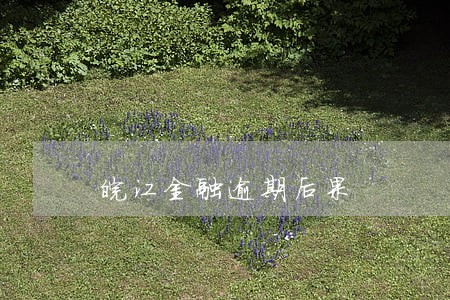 皖江金融逾期后果 皖江金融逾期后果