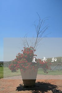 皮卡加装尾箱盖违法吗 皮卡加装尾箱盖违法吗