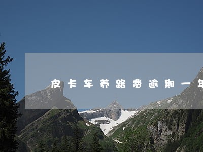 皮卡车养路费逾期一年多 皮卡车养路费逾期一年多