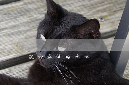 皮秒家族的诉讼 皮秒家族的诉讼