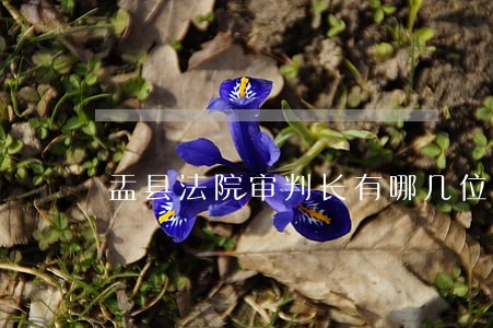 盂县法院审判长有哪几位 盂县法院审判长有哪几位