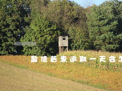 盈信普惠逾期一天会怎么样 盈信普惠逾期一天会怎么样