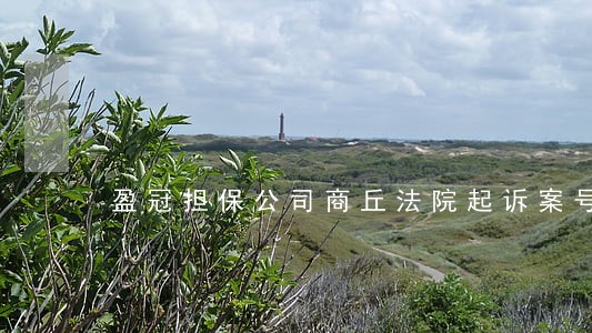 盈冠担保公司商丘法院起诉案号 盈冠担保公司商丘法院起诉案号