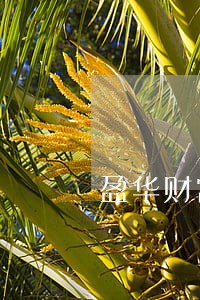 盈华财富逾期支付 盈华财富逾期支付
