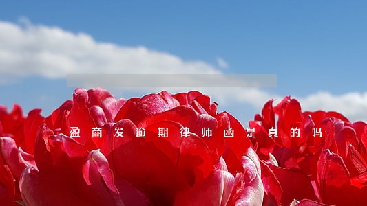 盈商发逾期律师函是真的吗 盈商发逾期律师函是真的吗