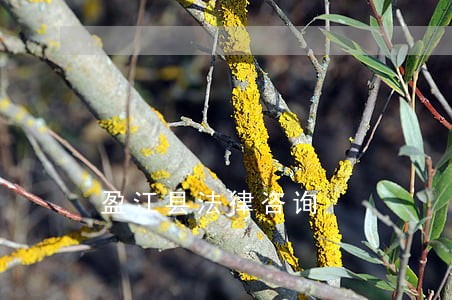 盈江县法律咨询 盈江县法律咨询