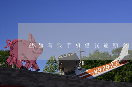盈盈有钱手机借钱逾期会上门吗 盈盈有钱手机借钱逾期会上门吗