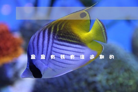 盈盈有钱有谁逾期的 盈盈有钱有谁逾期的
