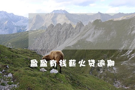盈盈有钱薪火贷逾期 盈盈有钱薪火贷逾期