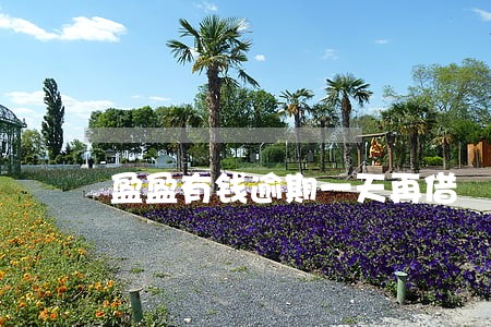 盈盈有钱逾期一天再借 盈盈有钱逾期一天再借