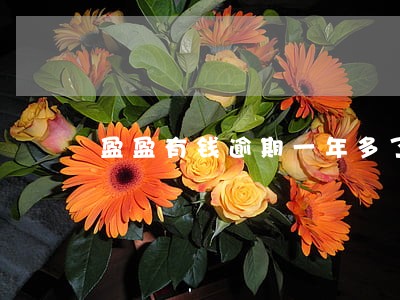 盈盈有钱逾期一年多了 盈盈有钱逾期一年多了
