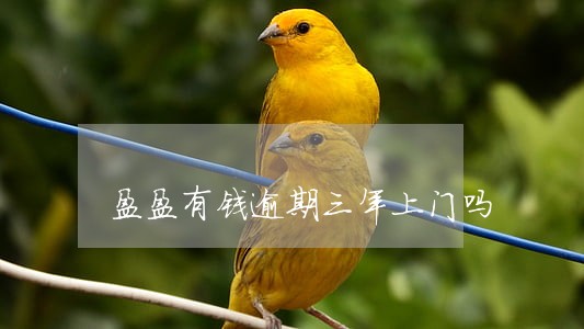 盈盈有钱逾期三年上门吗 盈盈有钱逾期三年上门吗